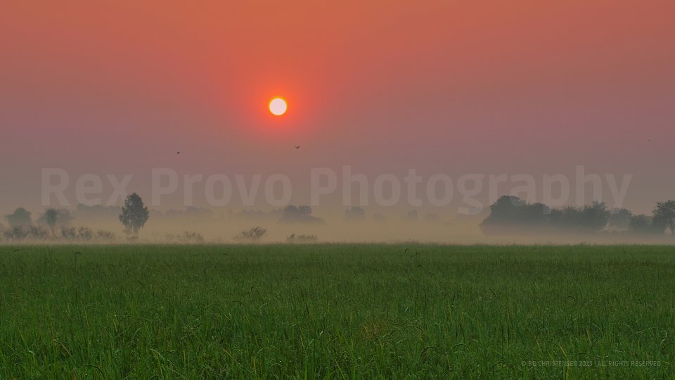 Misty Sunrise