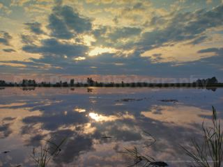 Morning Reflection